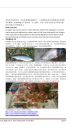 attachID_6603_postID_66884_image.jpg