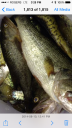 attachID_6667_postID_67421_photo4.PNG