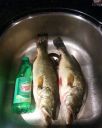 attachID_6705_postID_67727_IMG_20140811_235019.jpg