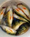 attachID_6927_postID_69978_perch3.jpg