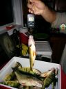 attachID_6953_postID_70299_IMG_20140820_145022.jpg