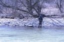 attachID_7098_postID_71361_DSC01656.JPG
