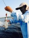 attachID_7205_postID_71855__0BOQ03.jpg