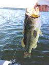 Filename=attachID_7275_postID_72619_093321s.jpg
Filesize=172KiB
Dimensions=750x1000
Date added=Dec 02, 2016 attachID_7275_postID_72619_093321s.jpg