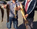 Filename=attachID_7320_postID_72917_IMG_1060.JPG
Filesize=204KiB
Dimensions=842x663
Date added=Dec 02, 2016 attachID_7320_postID_72917_IMG_1060.JPG