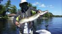 Filename=attachID_7515_postID_74299__0Bob05a.jpg
Filesize=376KiB
Dimensions=1458x820
Date added=Dec 02, 2016 attachID_7515_postID_74299__0Bob05a.jpg
