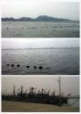 Filename=attachID_7574_postID_74853_image.jpg
Filesize=143KiB
Dimensions=812x1136
Date added=Dec 02, 2016 attachID_7574_postID_74853_image.jpg