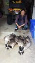 Filename=attachID_7592_postID_75075_AAA.jpg
Filesize=325KiB
Dimensions=675x1200
Date added=Dec 02, 2016 attachID_7592_postID_75075_AAA.jpg