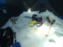 Filename=attachID_7602_postID_75340_winter1.jpg
Filesize=106KiB
Dimensions=1071x804
Date added=Dec 02, 2016 attachID_7602_postID_75340_winter1.jpg