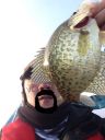attachID_7629_postID_75548_photo3.JPG