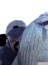 Filename=attachID_7799_postID_77138_sbass1.jpg
Filesize=135KiB
Dimensions=800x1067
Date added=Dec 02, 2016 attachID_7799_postID_77138_sbass1.jpg