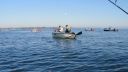 attachID_8051_postID_78355_Dsc09083.jpg