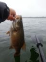 Filename=attachID_8179_postID_79316_WP_20141001_01228129.jpg
Filesize=109KiB
Dimensions=1200x1600
Date added=Dec 02, 2016 attachID_8179_postID_79316_WP_20141001_01228129.jpg