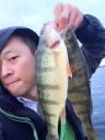 Filename=attachID_8277_postID_80248_image.jpg
Filesize=111KiB
Dimensions=900x1200
Date added=Dec 02, 2016 attachID_8277_postID_80248_image.jpg