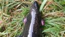 attachID_8278_postID_80273_IMG-20141004-WA0002.jpg