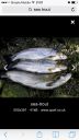 Filename=attachID_8362_postID_81189_image.jpg
Filesize=149KiB
Dimensions=640x1136
Date added=Dec 02, 2016 attachID_8362_postID_81189_image.jpg
