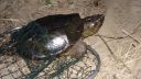 Filename=attachID_8410_postID_81533_image.jpg
Filesize=199KiB
Dimensions=1136x640
Date added=Dec 02, 2016 attachID_8410_postID_81533_image.jpg