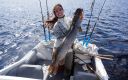 attachID_8417_postID_81589_DSC01547.jpg
