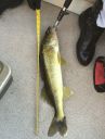 Filename=attachID_8558_postID_82427_rice004a.jpg
Filesize=164KiB
Dimensions=487x642
Date added=Dec 02, 2016 attachID_8558_postID_82427_rice004a.jpg