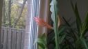 Filename=attachID_8613_postID_83322_WP_20141017_001.jpg
Filesize=78KiB
Dimensions=1200x673
Date added=Dec 02, 2016 attachID_8613_postID_83322_WP_20141017_001.jpg