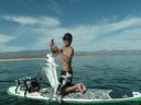 Filename=attachID_8769_postID_84094_surfboard2.jpg
Filesize=62KiB
Dimensions=500x375
Date added=Dec 02, 2016 attachID_8769_postID_84094_surfboard2.jpg