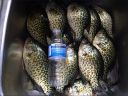 Filename=attachID_8940_postID_85098_crappie004.jpg
Filesize=159KiB
Dimensions=1200x904
Date added=Dec 02, 2016 attachID_8940_postID_85098_crappie004.jpg