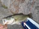 attachID_9077_postID_86098_IMG_3060.JPG