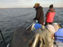 Filename=attachID_9383_postID_88322_8.jpg
Filesize=182KiB
Dimensions=1080x810
Date added=Dec 02, 2016 attachID_9383_postID_88322_8.jpg