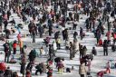 Filename=attachID_9509_postID_89850_mass2.jpg
Filesize=239KiB
Dimensions=790x528
Date added=Dec 02, 2016 attachID_9509_postID_89850_mass2.jpg