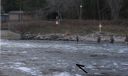 Filename=attachID_9940_postID_93135_head1.jpg
Filesize=50KiB
Dimensions=497x296
Date added=Dec 02, 2016 attachID_9940_postID_93135_head1.jpg