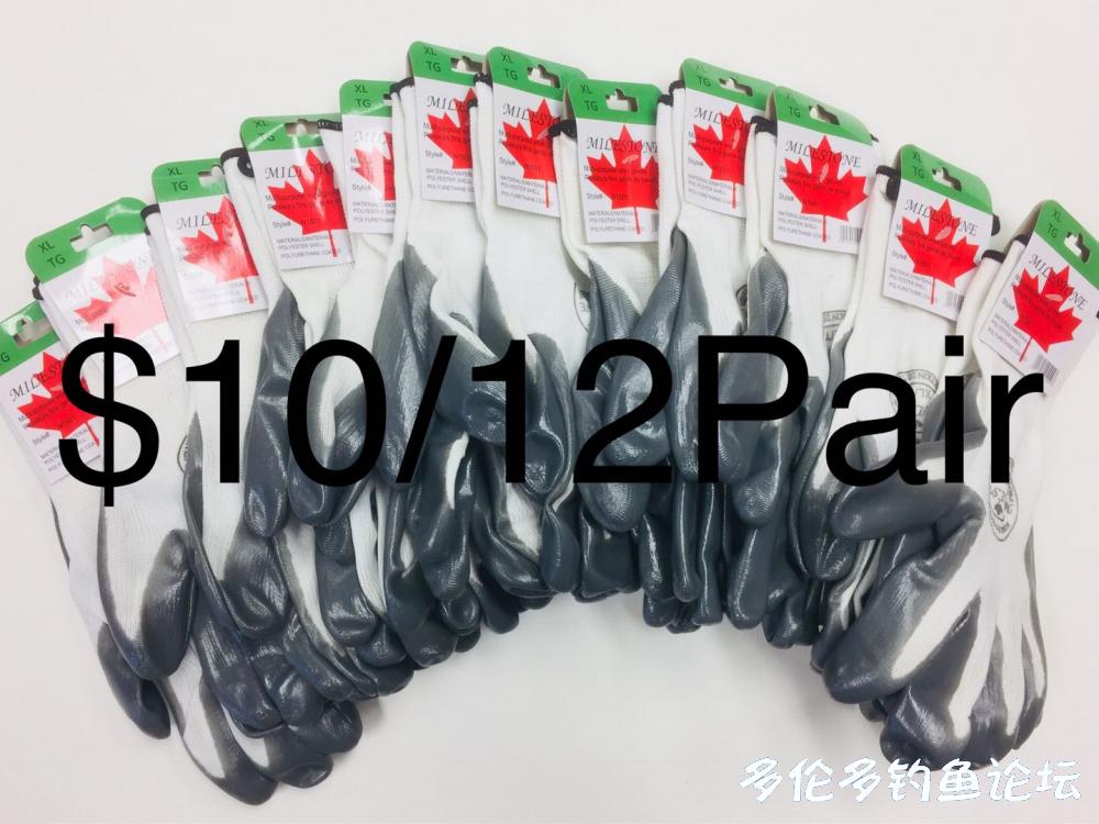 WeChat Image_20180329013909W1.jpg